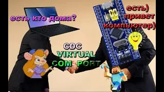 STM32 COM PORT CDC светодиод  Экспедиция 23💻↔️ ☀️