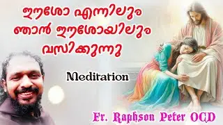 Meditation| Jesus into my  self and myself into Jesus| Fr Raphson Peter OCD Avila Sadan Karaparambu