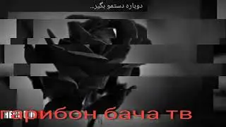 💖Суруди💕эрони🌺2019💝👍💝💝