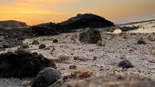 Under Red Sea-Underwater World-Red Sea-beaches@sultanizm2497