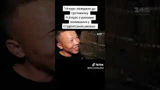 Таргани