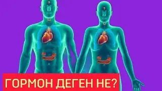 ГОРМОН ДЕГЕН НЕ? Ағзадағы гормондардың маңызы. Денсаулық арнасы. Денсаулық