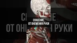Немеет рука, массаж 