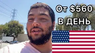 Как я заработал $564 за день в Америке
