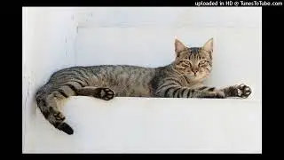 Beatmatic - This Is Your Dream (Club Mix)
