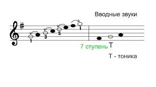 Гамма соль мажор. Вводные звуки. Тетрахорды. Сольфеджио.