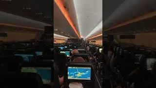 Todo bien en el avión
