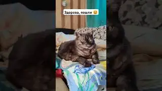 Договорились бегать 🤭