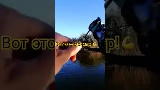 огроменная щука🙈