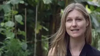 bbc