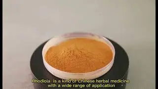 Rhodiola rosea extract