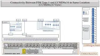 Physical Connectivity between Ciena FIM Type 1 to CMD8x16 in Signal Flow of DWDM/CDC