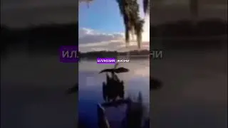 Иллюзия жизни 