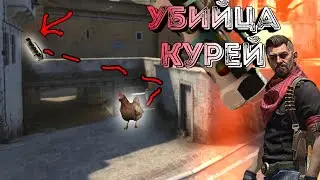 Убийца курей | Cs:Go Монтаж