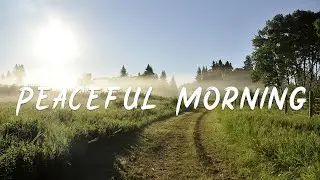Peaceful Morning - Songs To Start A Good Day II Acoustic/Folk Playlist