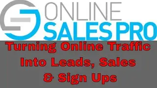 Turning Online Traffic Into Leads, Sales & Sign Ups
