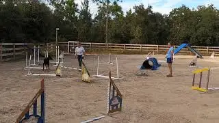 Jump Grid Clinic 1