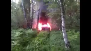 лес дорога жигули