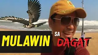 Mulawin Sa Dagat