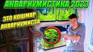 Aquarium 2023 We need to GET RID OF THIS! CHAPTER 1
