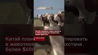 День за минуту (18.07.2024г.)