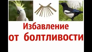 БОЛТЛИВОСТЬ.  Как избавиться от  излишней  разговорчивости. - 14 шагов. САМ СЕБЕ ПСИХОЛОГ: