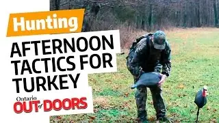 Afternoon Tactics for Turkey