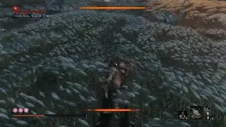 Sekiro: Shadows Die Twice_20240531233043