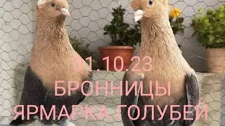 01.10.23 БРОННИЦЫ. ЯРМАРКА ГОЛУБЕЙ