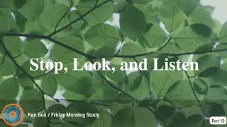 Stop, Look, and Listen (Part 10)