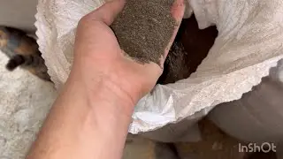 Ціна на горох та соняшникову макуху така, шо очі на лоб лізуть😱‼️ Обзор міні кормоцеху