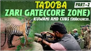 మాకు Tiger కువాని పిల్లలు కనిపించాయి | TIGER KUWANI | TELUGU PHOTOGRAPHY VLOGS | VIEW FINER SNAP |