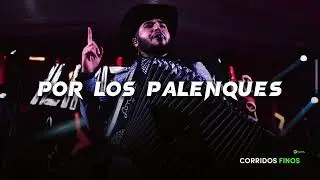 Por Los Palenques - Ilimitado (Corridos 2023)