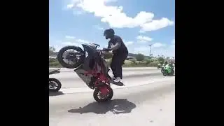 Motorcycles Doing Wheelies