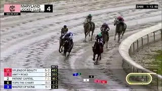 Laurel Park Carrera 4 - 29 de Diciembre 2024