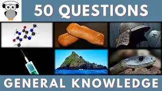 General Knowledge Quiz Trivia