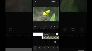 Round Corner Video Making in Capcut #capcut #videoediting