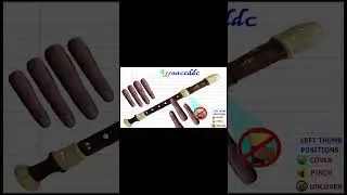 #playalong - Sound of Silence - #Recorder - Key of C #TuneBasics