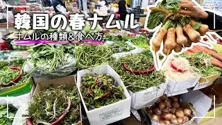 韓国の春山菜､春ナムル