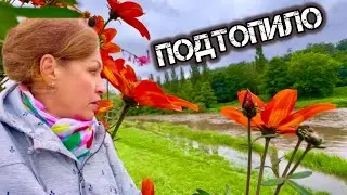 ТАК началось ЛЕТО / ВСЁ СМЫЛО ДЫШУ БЕЗ ПРОБЛЕМ