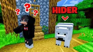 We Played Hide and Seek as Mobs in Minecraft