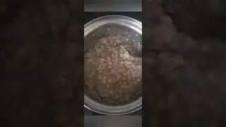 18 мая 2021 г.