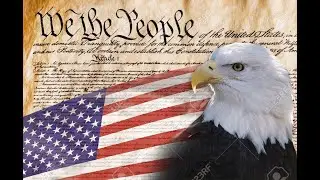 America Is Our Land #America #music #wethepeople #eagles #birds