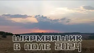 полевой день шарманщика 2024