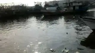14.10.11 Jakarta - muara angke