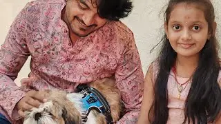 Chittu gadu 🐶 @petlove