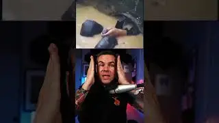 Portuguese Commando school is WILD! 