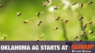 Beekeeping for Beginners (6/5/21)