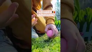 #імміграція #бельгія
