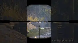 The stealth sniper in World War II is professional and accurate